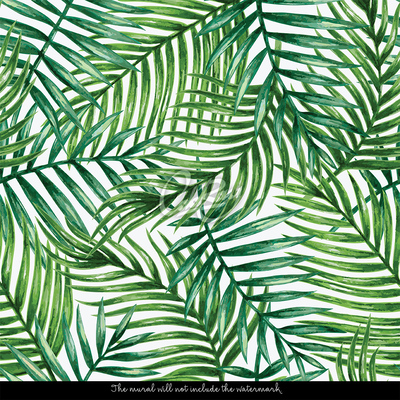 Wallpaper Pleasant Shadow of Palm Leaves