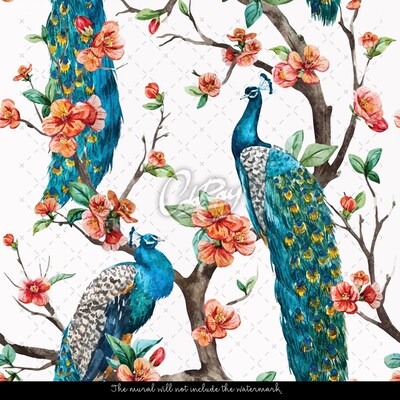 Wallpaper Colorful Peacocks