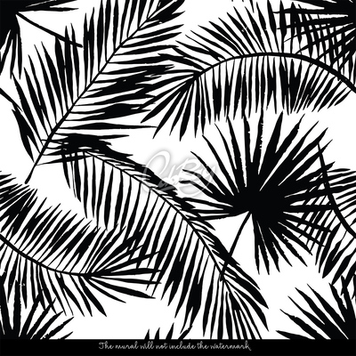 Wallpaper Black and White Palm Leaves
