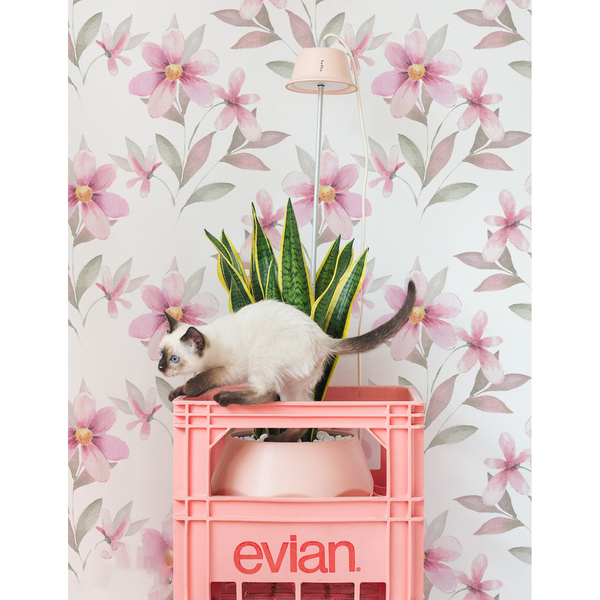 Wallpaper Thoughtful And Romantic