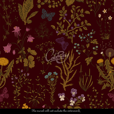 Wallpaper Night In The Forest Clearing