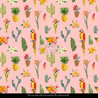 Wallpaper In The Tropics And Deserts