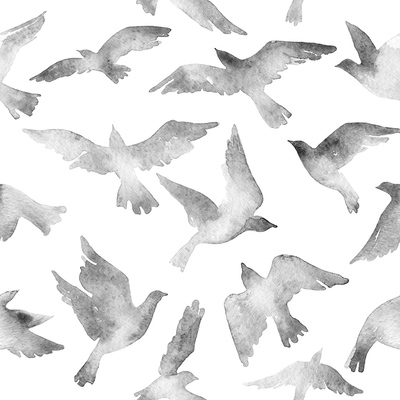 Wallpaper Flying Gray Pigeons