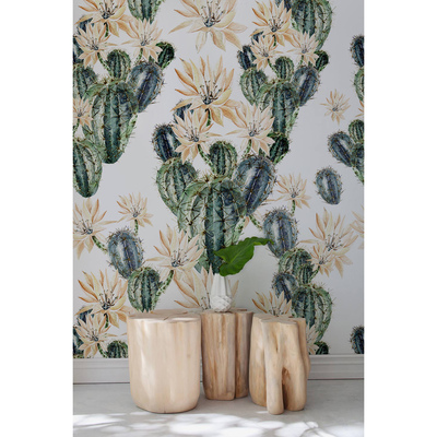 Wallpaper Never Enough Of Cactus
