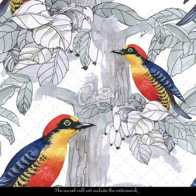 Wallpaper Raindbaw World Of Birds