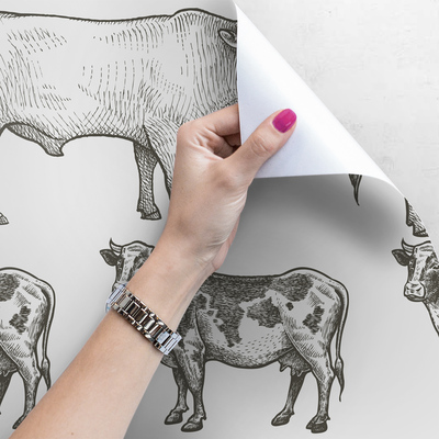 Wallpaper Healthy Cow, Healthy Bull