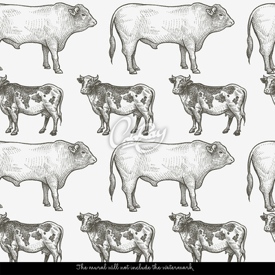 Wallpaper Healthy Cow, Healthy Bull