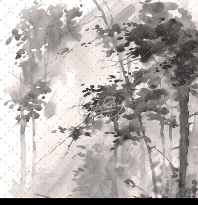 Wallpaper Quiet Forest