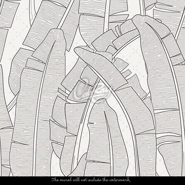 Wallpaper Monochrome Banana Leaves