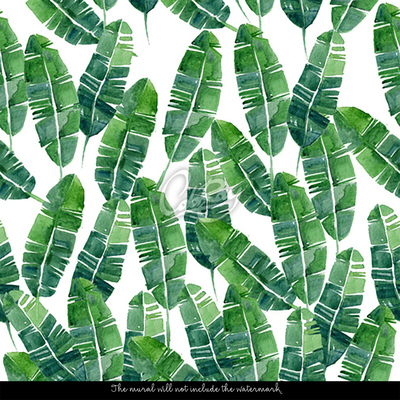 Wallpaper The Green of The Exotic Leaves