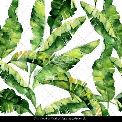 Wallpaper Banana Leaves And Wind