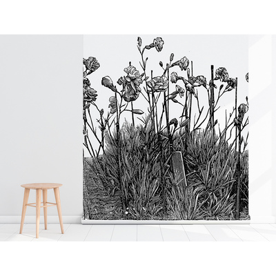 Wallpaper Wild Field Carnations