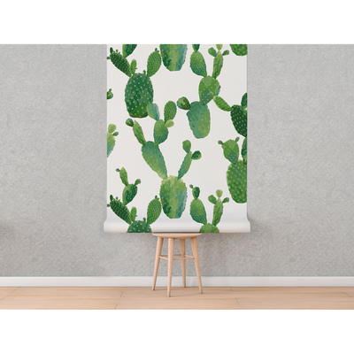 Wallpaper Hunting for Tropical Cacti