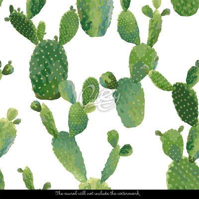 Wallpaper Hunting for Tropical Cacti