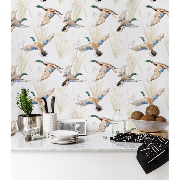 Wallpaper Duck Family