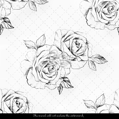 Wallpaper Romantic Rose Sketched
