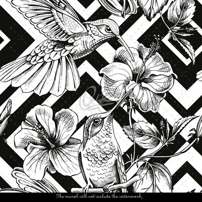 Wallpaper Hummingbirds Among The Hibiscus