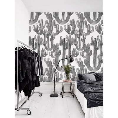 Wallpaper Gray Cacti Shadows