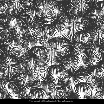 Wallpaper Sooting Shadow Of The Palms