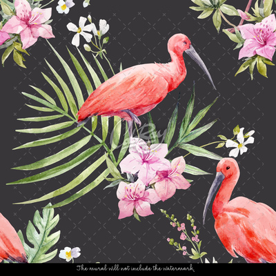 Wallpaper Flamingos Bathed In Black