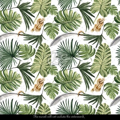 Wallpaper The Charm Of Monstera