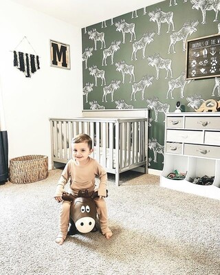 Wallpaper Has Anyone Seen An Elk?