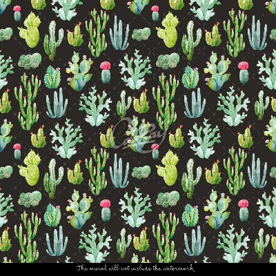Wallpaper Tiny Cacti On A Black Background
