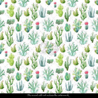 Wallpaper Tiny Cacti On White Backgound