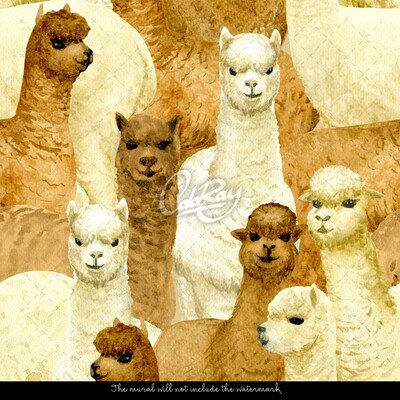Wallpaper A Day With Alpacas