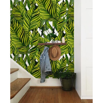 Wallpaper Big Leaves Of Hot Tropics