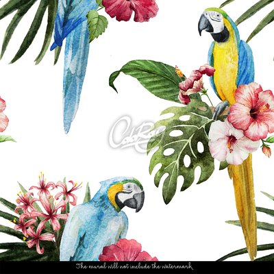 Wallpaper Lazy Parrots Among Flowers