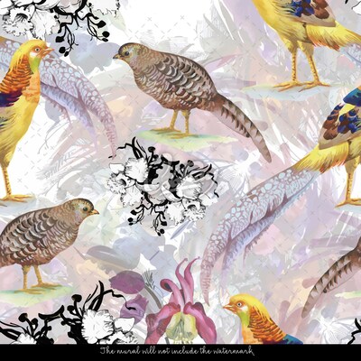 Wallpaper Wild Nature Of Pheasants