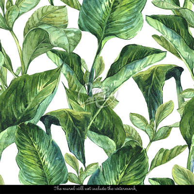 Wallpaper Lush Green Tropics