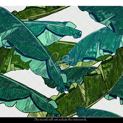 Wallpaper Green Banana Leaves