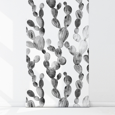 Wallpaper Gray Cacti