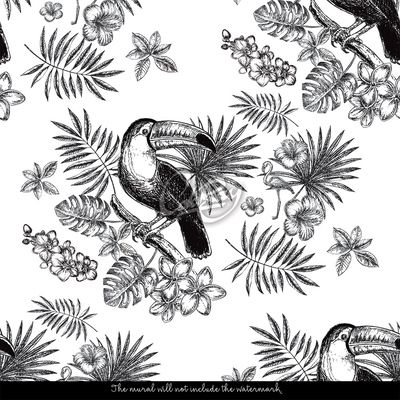 Wallpaper Toucan in The Tropics