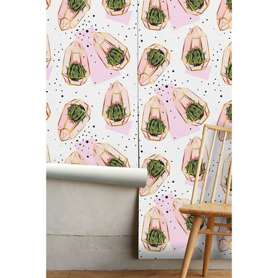 Wallpaper Greenhouse Cacti
