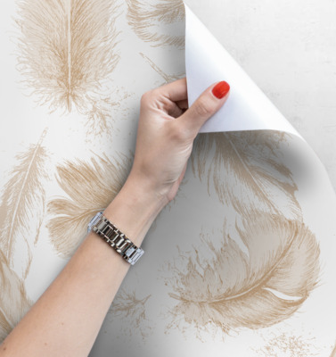 Feathers Wallpaper, wall mural 