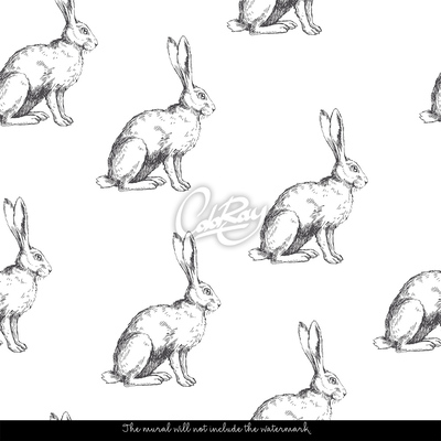 Wallpaper Hares Recommended For The Wall