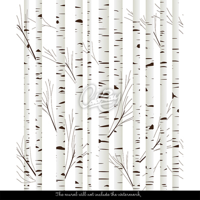 Wallpaper White Birch-Tree