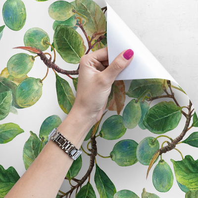 Wallpaper Plum Orchard