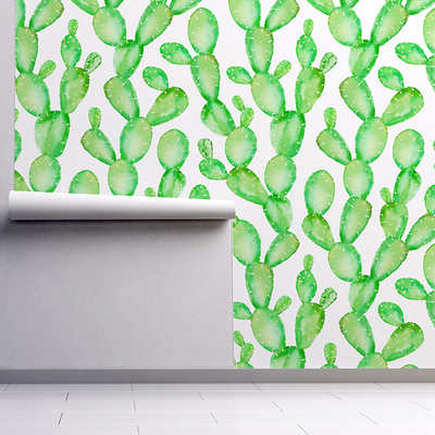 Wallpaper Greenish Cactus