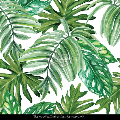 Wallpaper Monstera From The Jungle