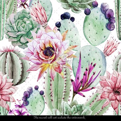 Wallpaper Watercolor Cactus Flowers