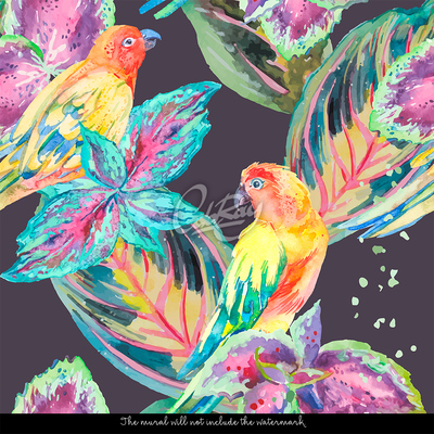 Wallpaper Rainbow Parrots