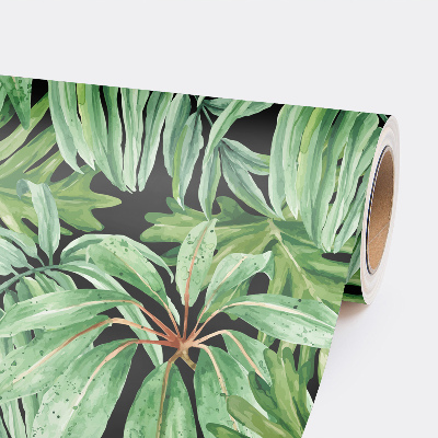 Wallpaper Tropical Rain Forest