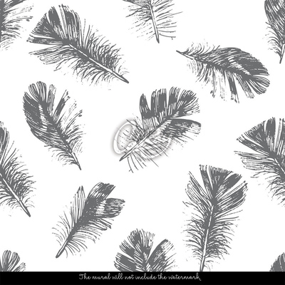 Wallpaper Delicate Feather