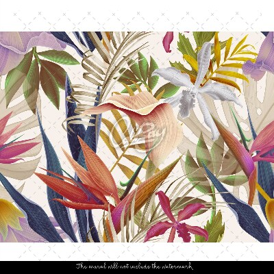 Wallpaper Tropical Rainbow Vegetation