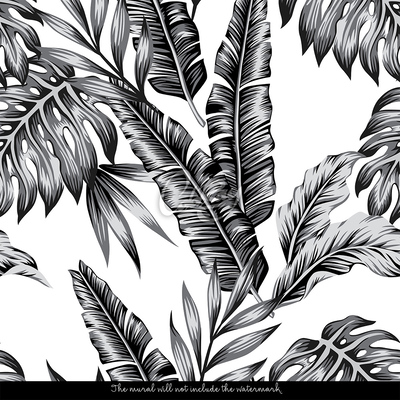 Wallpaper The Beauty Of Tropical Plants