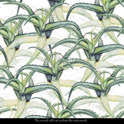 Wallpaper Agave Plantations